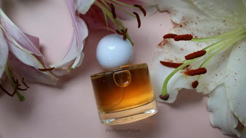 Shaping Your Scent Story: The Forces Behind 2026's Fragrance Trends