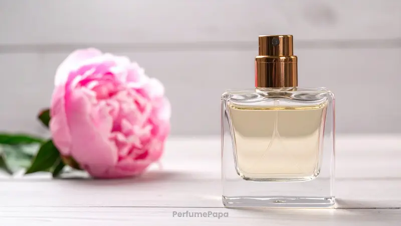 Best Long-Lasting Colognes for Men: A Comprehensive Guide