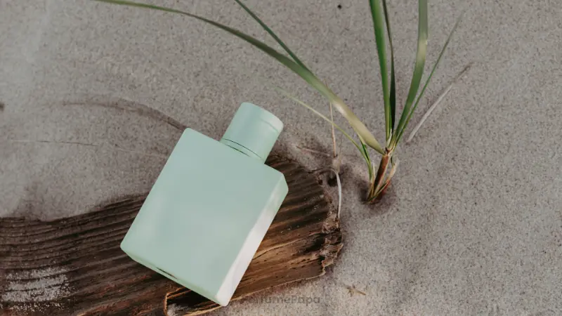 2026 Fragrance Trends: Decoding the Future of Scent