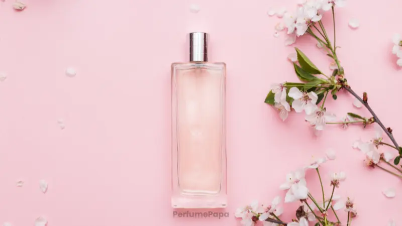 2026 Scent Report: Future Fragrance Trends Unveiled